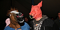 Farmyard 2010