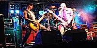 Farmyard 2011