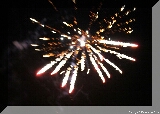 IMG_1151.JPG