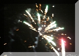 IMG_1175.JPG