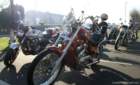 fredhill_00005_small.jpg