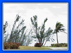 Freeport197