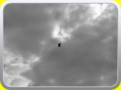 Saturday1 (170)