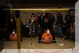 IMG_9658.JPG