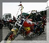 7939.jpg