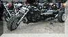 7942.jpg