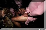 IMG_5192.JPG