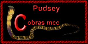 Pudsey Cobras MCC