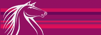 Adrian Flux Insurance