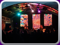 Hawkwind1311