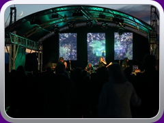 Hawkwind1313