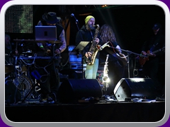 Hawkwind1391