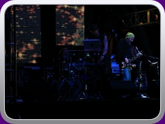 Hawkwind1397