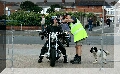 IMG_4968.jpg