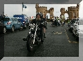 IMG_5004.jpg
