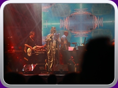 Palladium200