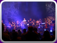Palladium206