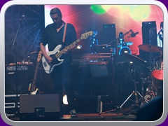 Palladium235