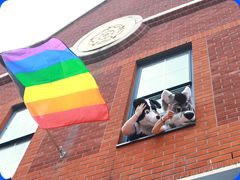Pride2024496