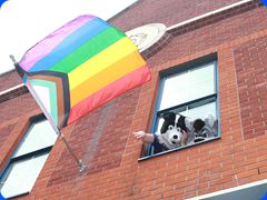 Pride2024498
