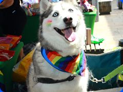 Pride2024531