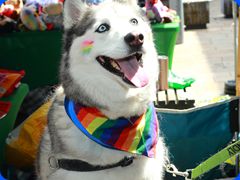 Pride2024533
