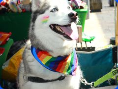 Pride2024534