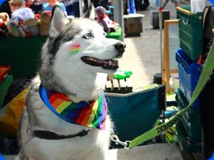 Pride2024535