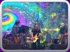 Hawkwind0964