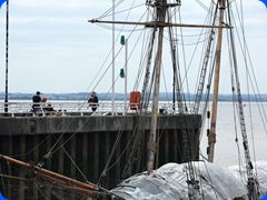 HSS2024482