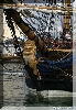 IMG_7956.JPG
