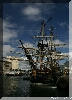 IMG_7962.JPG