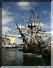 IMG_7964.JPG