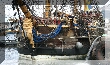 IMG_7968.JPG