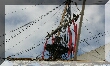 IMG_8002.JPG