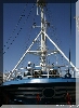 IMG_8062.JPG