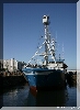 IMG_8070.JPG