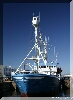 IMG_8075.JPG