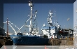 IMG_8076.JPG