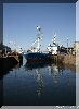 IMG_8080.JPG