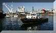 IMG_8089.JPG