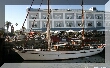 IMG_8101.JPG