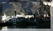 IMG_8113.JPG