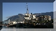 IMG_8123.JPG