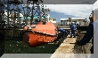 IMG_8263.JPG