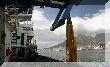 IMG_8281.JPG