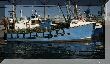 IMG_8494.JPG