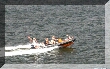 IMG_8502.JPG