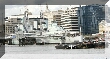 IMG_9485.JPG