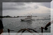 PICT1237.JPG